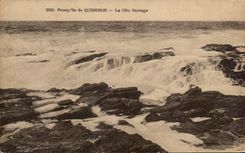 CPA Presqu ile de Quiberon La Cote Sauvage