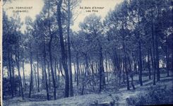 CPA Fornichet with Wood Love Plns