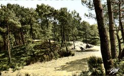 Oceano de Brevin del santo de CPA el bosque