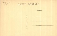 CPA Nantes the Castle of the Dukes of Brittany seen from has flight bird