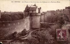 CPA Nantes Ditches and Three Tours of the Castle of the Duchess Anne