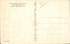 CPA Quiberon the Wild Dimension Abche De Port White