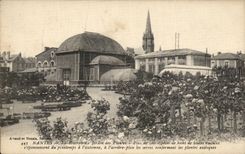 CPA Nantes the Rosery of the Botanical garden