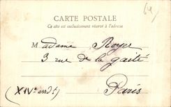 CPA Pau the Castle and the Park