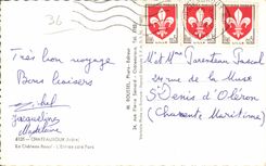 CPA Chateauroux (Indre) le chateau Raoul L entree cote parc