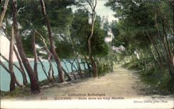 CPA Menton Sous Bois au Cap Martin