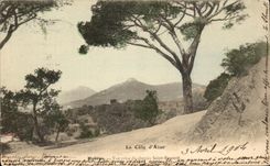 CPA La Cote d Azur Hyeres Vue prise du chemin Saint Bernard