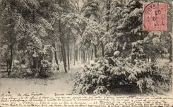 CPA Paris Effect of snow at the Bois de Boulogne