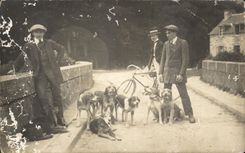 CARTE PHOTO Pont des Noëlles Jeunes Hommes et leurs chiens 