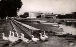 Bordes de CPSM Dax de Adour