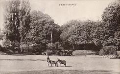 CPA Vert Mont Poneys Cheval Horse