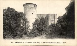 CPA Falaise Le Chateau (Cote Sud) The Castle (Westerm Side)