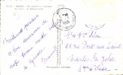 CPA graso su vegetacion exatic con encontrado el mediterrAneo