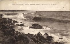 CPA Cannes Etude marinades Plage