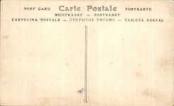 CPA Paris the Royal Bridge and Louvre Tileries