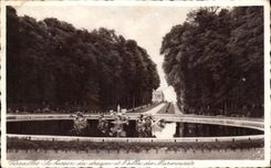 CPA Versailles Le bassin du dragon et l allee des Marmousets