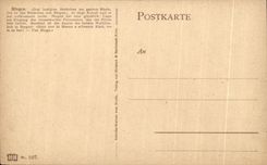 CPA Bingen Das lustigute Stadtchen aru ganzen Rheln
