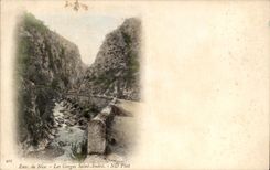 CPA ENV Niza del santo Andre de las caidas