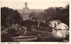 CPA Rabat Mosquee du Chellah