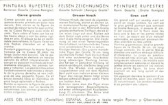 CPSM Ciervo grande Grosser hirsch Grand cerf