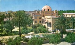 CPSM Biskra L Hotel Royal