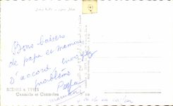 CPA Scenes Types Chamelle et Chamelon