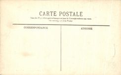 Yucas de la prueba del jardin de CPA Argel