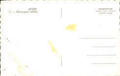 CPA abrochado Argel Moorish Femmess