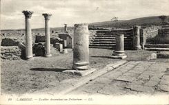 CPA Lambese Escalier descendant au Pretorium