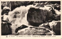 CPA Blida Les Gorges de la Chiffa Ruisseau des Singes La grande cascade