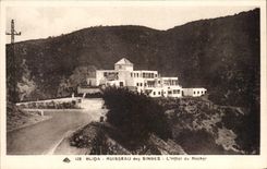 CPA Blida Ruisseau des Singes L Hotel du Rocher