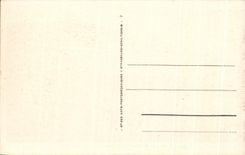 CPA Blida Ruisseau des Singes L Hotel du Rocher