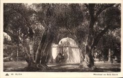 CPA Blida Marabout au Bols Sacre