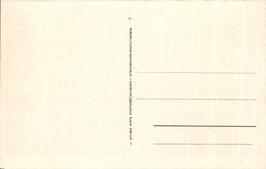 CPA Blida Marabout au Bols Sacre