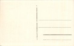 CPA Blida Jardin Bizot