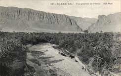 CPA El Kantara Vue generale de I Oasis