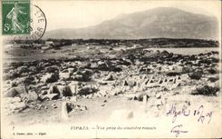 CPA Tipaza Vue prise du cimetiere romain