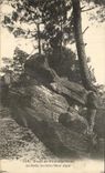 CPA Foret de Fontainebleau La Roche feuilletee Mont Aigu