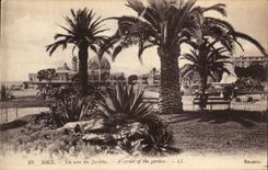 CPA Nice Un coin des Jardins A corner of the gardens