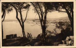 Niza de CPA vista entre los pinos