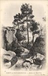 CPA Foret de Fontainebleau Rochers du Mont ussy