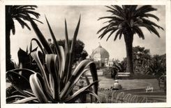 CPA La Douce France Cote D Azur Nice Jardins Albert 1er