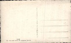 Niza de CPA vista entre de las pergolas florecidas