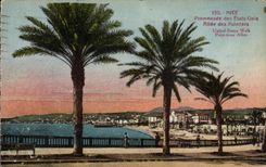 Caminata de CPA Niza de los Estados Unidos Allee de las palmeras