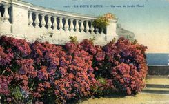 CPA el azul de la dimension una esquina del jardin florecido