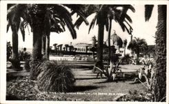 CPA Niza el ler de Albert de los jardines el casino del embarcadero