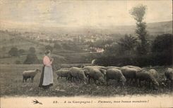 CPA A la Campagne Pnissez mes beaux moutons