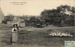 CPA Scence Du Centre La Gardeuse D Oies Folklore 