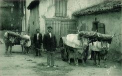CPA Basque Country Coach of Oxen