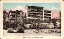 CPA Osseja the Sanatorium Photogravure